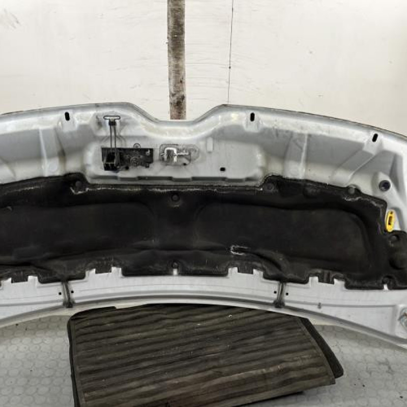 Capot RENAULT MASTER 3 Photo n°6