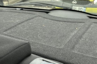 Malle/Hayon arriere PEUGEOT 207