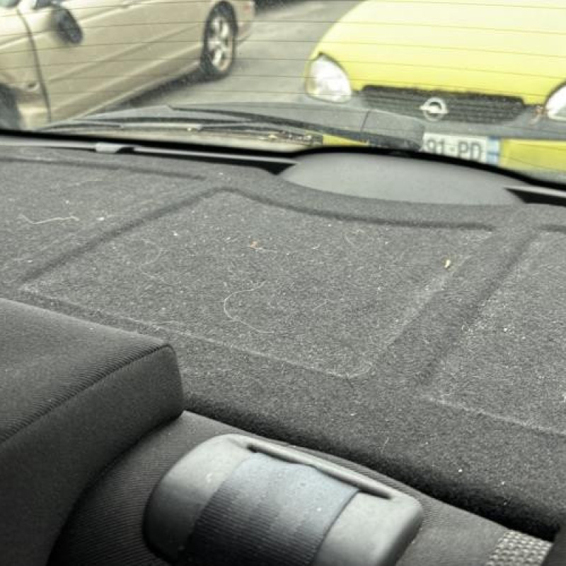 Malle/Hayon arriere PEUGEOT 207 Photo n°20