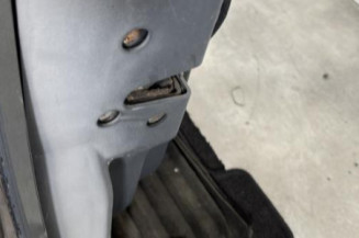 Porte avant gauche SMART FORFOUR 1