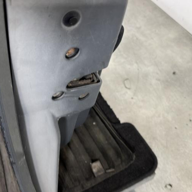 Porte avant gauche SMART FORFOUR 1 Photo n°3