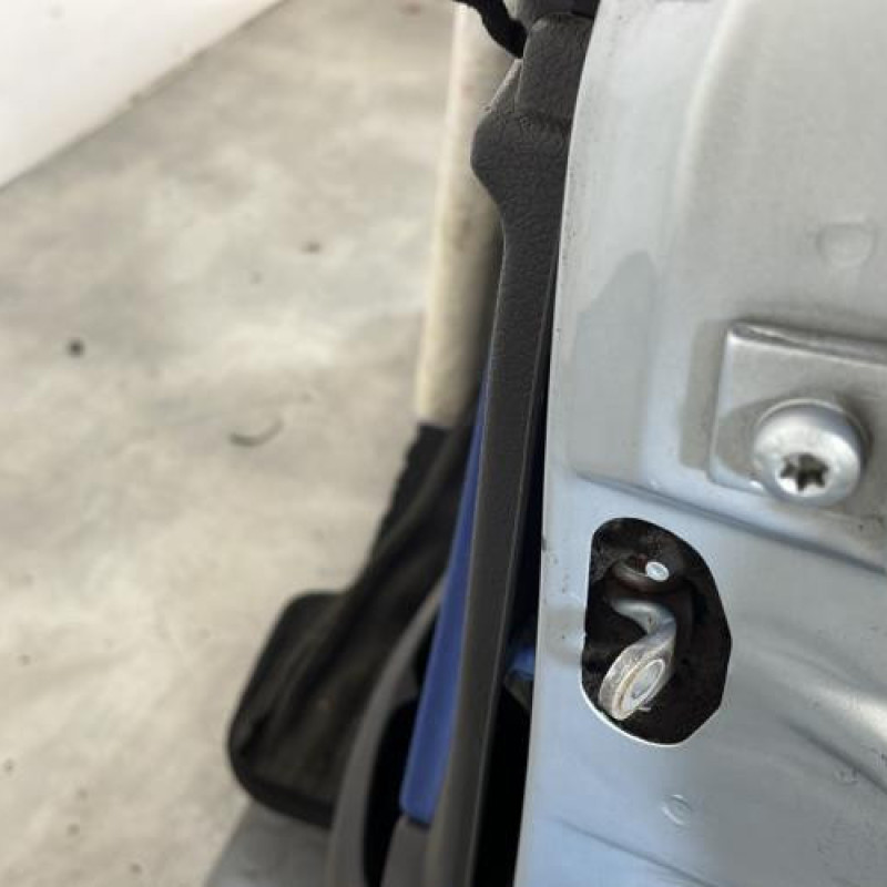 Porte avant gauche PEUGEOT 206 Photo n°4