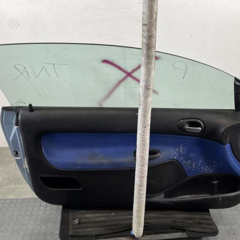 Porte avant gauche PEUGEOT 206 Photo n°6