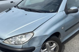Porte avant gauche PEUGEOT 206