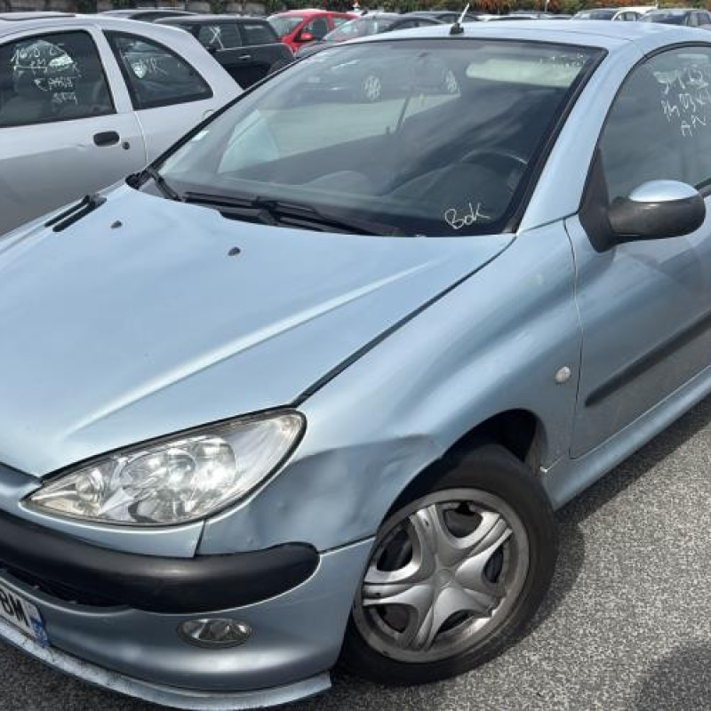 Porte avant gauche PEUGEOT 206 Photo n°7