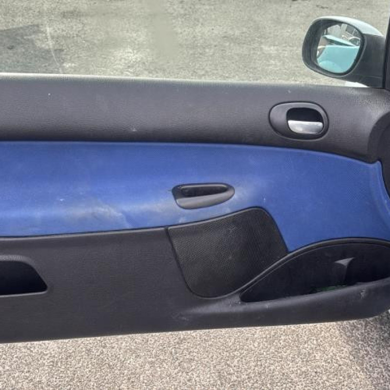 Porte avant gauche PEUGEOT 206 Photo n°15