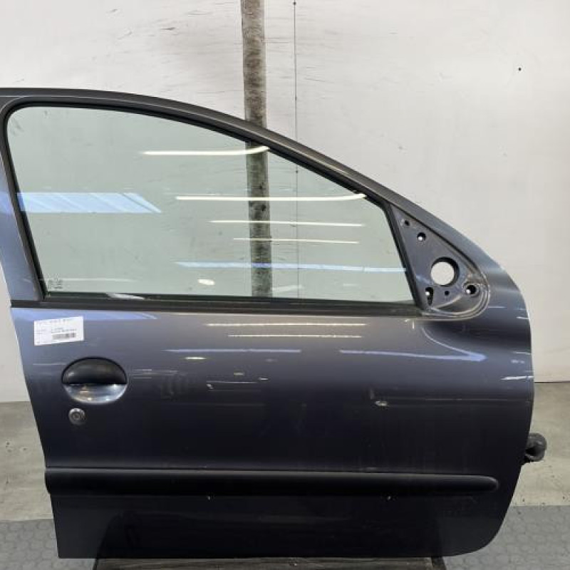 Porte avant droit PEUGEOT 206+ Photo n°1