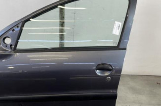 Porte avant gauche PEUGEOT 206+ Photo n°1