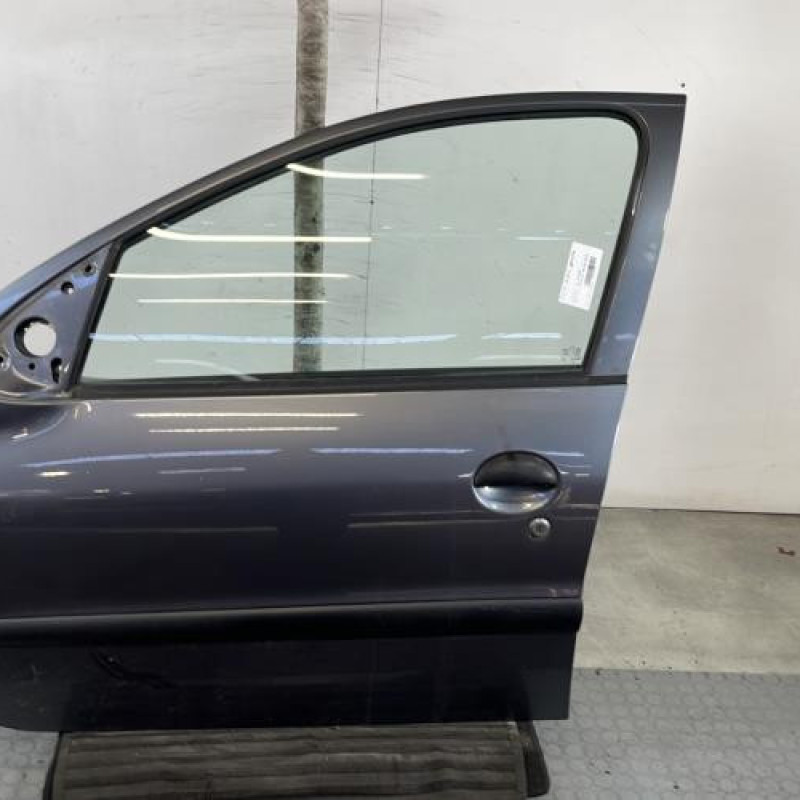 Porte avant gauche PEUGEOT 206+ Photo n°1