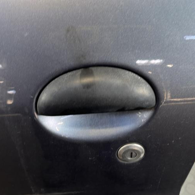 Porte avant gauche PEUGEOT 206+ Photo n°2