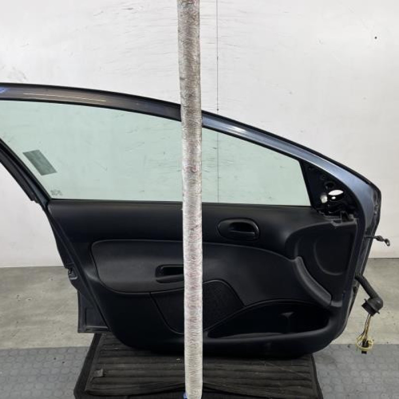 Porte avant gauche PEUGEOT 206+ Photo n°6