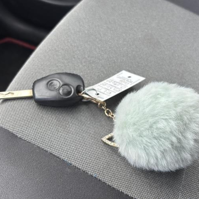 Serrure avant gauche RENAULT GRAND MODUS Photo n°18