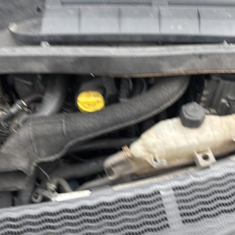 Serrure avant gauche RENAULT MODUS Photo n°20