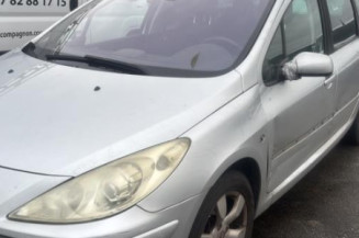 Aile avant droit PEUGEOT 307