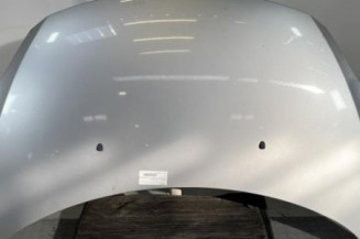 Capot PEUGEOT 307 Photo n°1