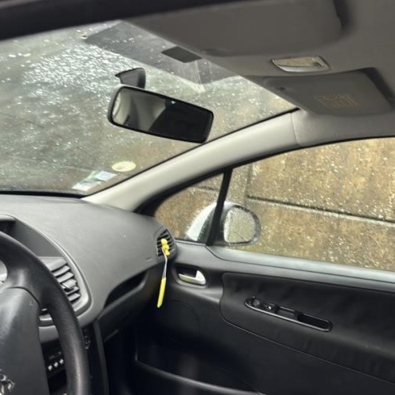Porte avant droit PEUGEOT 207 Photo n°18