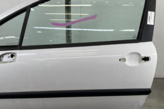 Porte avant gauche PEUGEOT 207 Photo n°1