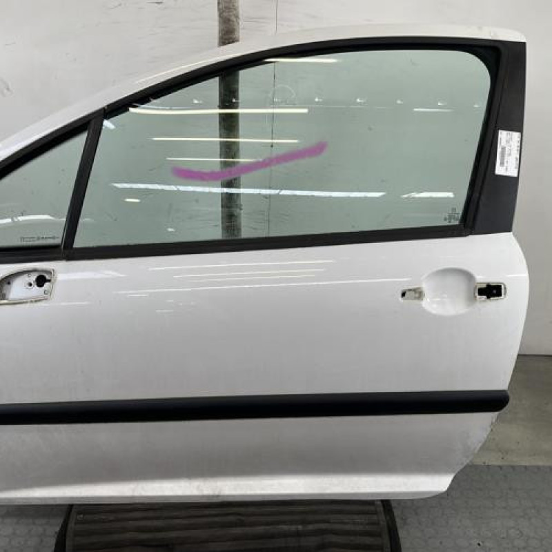 Porte avant gauche PEUGEOT 207 Photo n°1