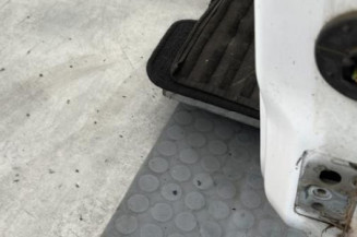 Porte avant gauche PEUGEOT 207