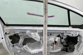 Porte avant gauche PEUGEOT 207