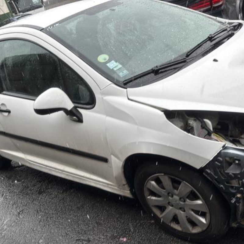 Porte avant gauche PEUGEOT 207 Photo n°8