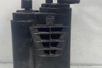 Canister RENAULT CLIO 4