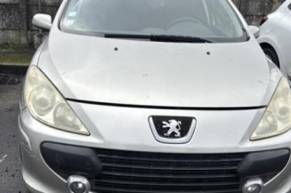 Neiman PEUGEOT 307