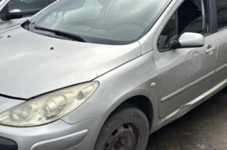 Retroviseur droit PEUGEOT 307