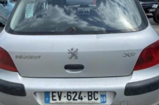 Aile avant gauche PEUGEOT 307