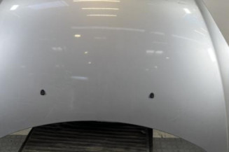 Capot PEUGEOT 307 Photo n°1