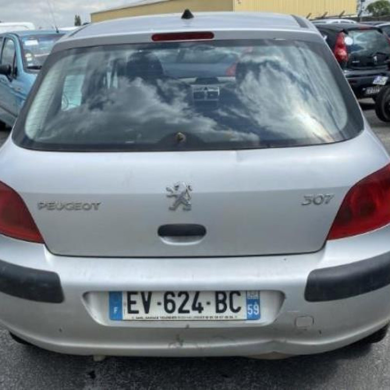 Capot PEUGEOT 307 Photo n°8