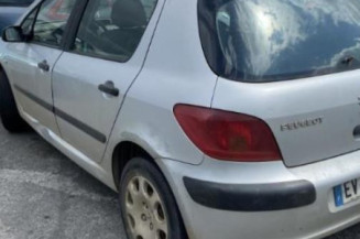 Capot PEUGEOT 307