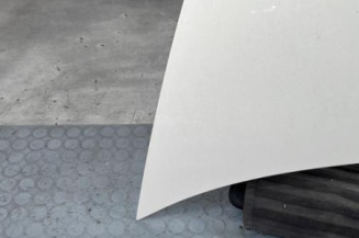 Capot CITROEN C3 PLURIEL