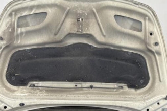 Capot CITROEN C3 PLURIEL