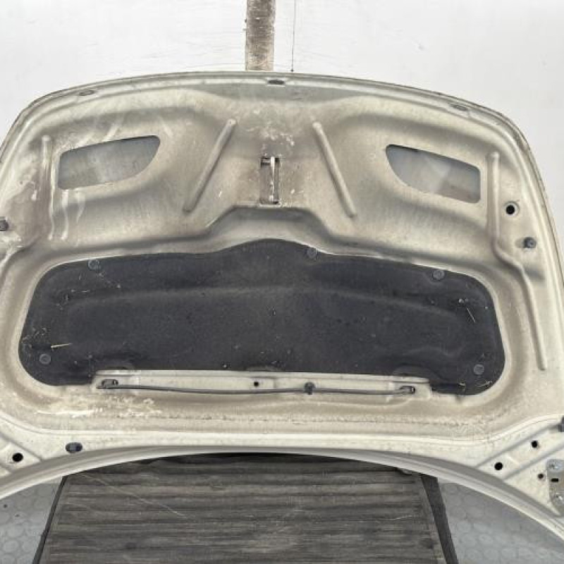 Capot CITROEN C3 PLURIEL Photo n°6