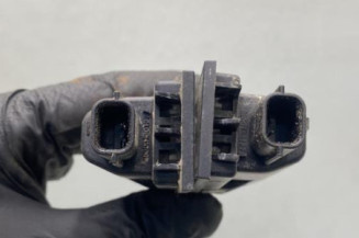 Eclairage de plaque RENAULT CLIO 4