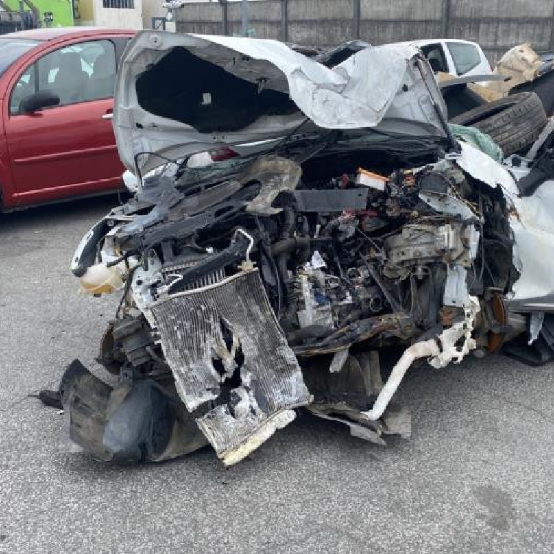 Eclairage de plaque RENAULT CLIO 4 Photo n°5