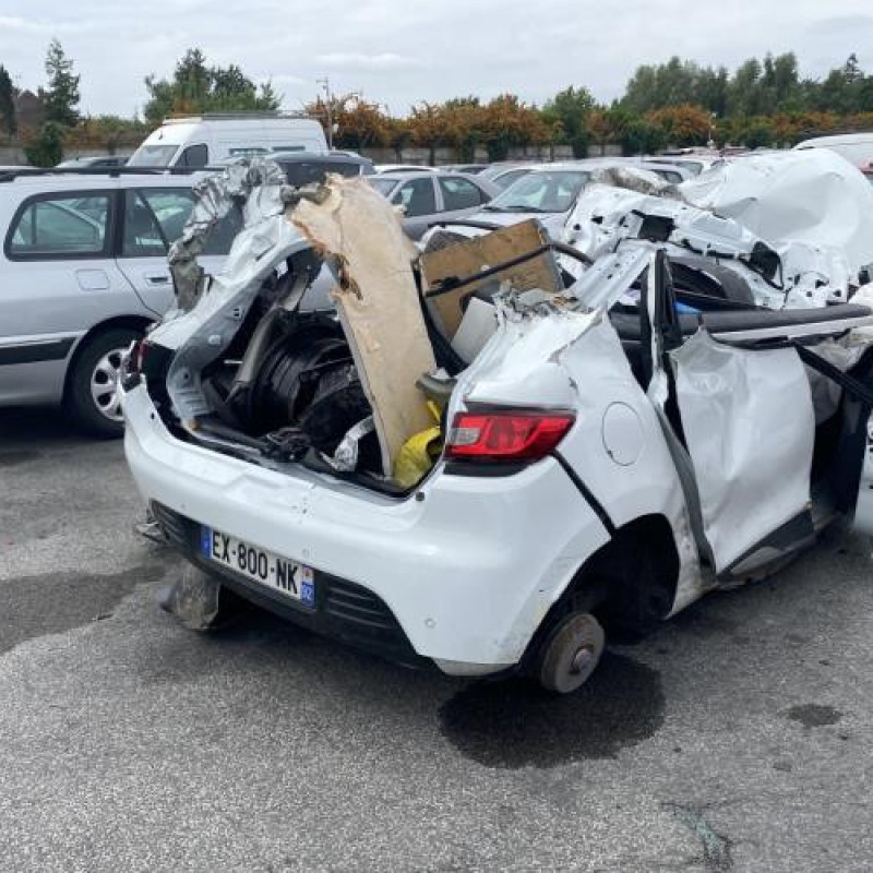 Eclairage de plaque RENAULT CLIO 4 Photo n°6