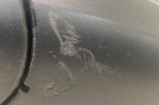 Retroviseur gauche RENAULT TWINGO 3