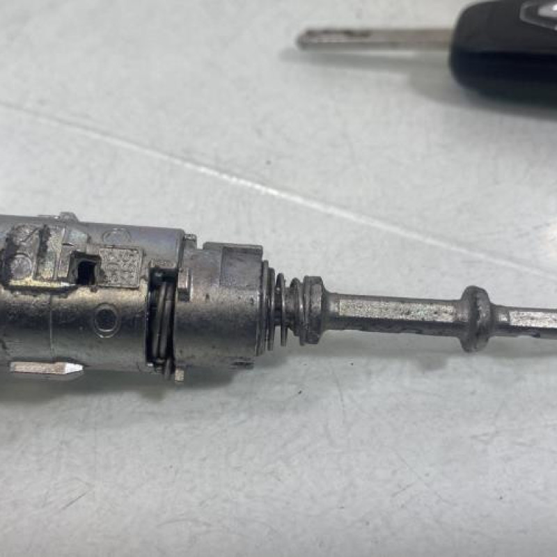 Neiman RENAULT TWINGO 3 Photo n°6