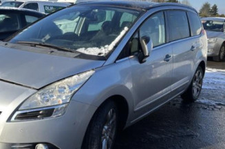 Mastervac PEUGEOT 5008 1