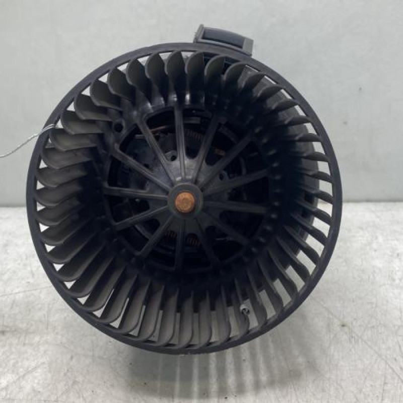 Pulseur d'air CITROEN C3 2 Photo n°1