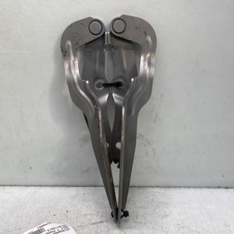 Charniere de capot VOLKSWAGEN GOLF 7 Photo n°1