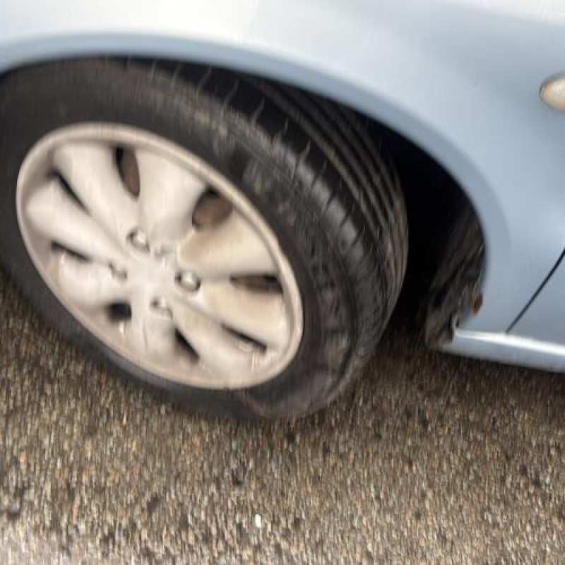 Tambour arriere gauche CITROEN XSARA Photo n°19