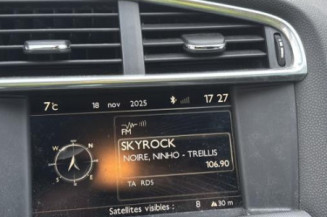 Mastervac CITROEN DS4