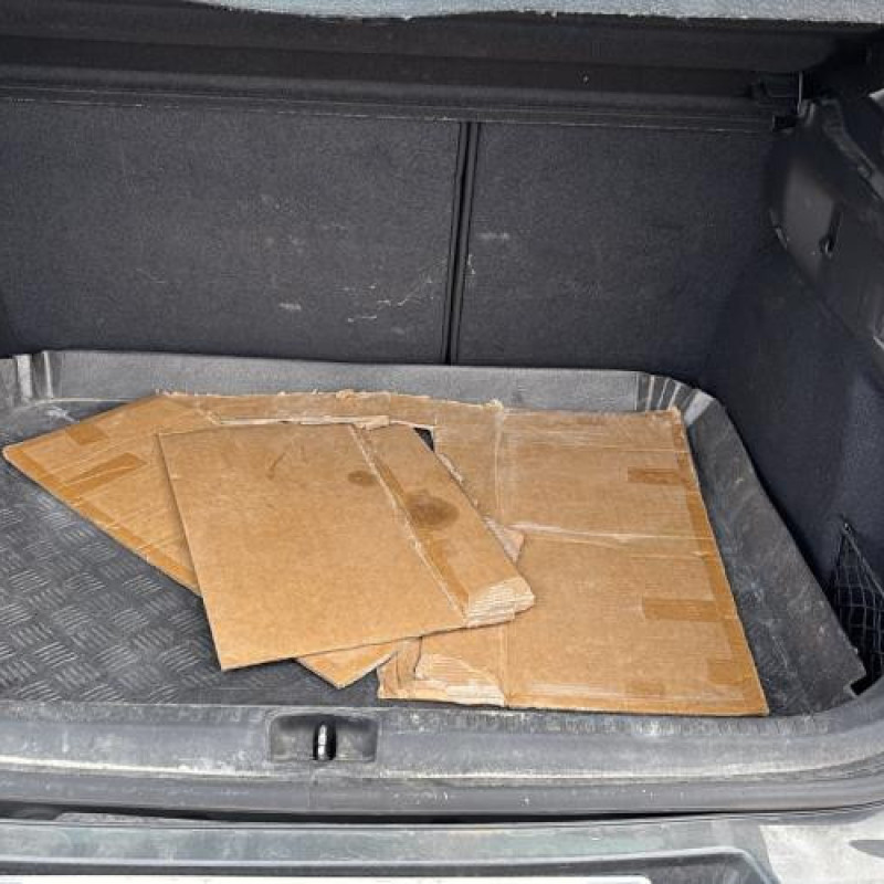 Mastervac CITROEN C4 2 Photo n°19