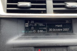 Mastervac CITROEN DS4