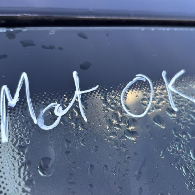 Mastervac VOLKSWAGEN POLO 5 Photo n°19