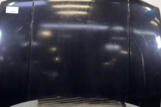 Capot VOLKSWAGEN GOLF 4 Photo n°1