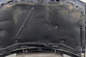 Capot VOLKSWAGEN GOLF 4